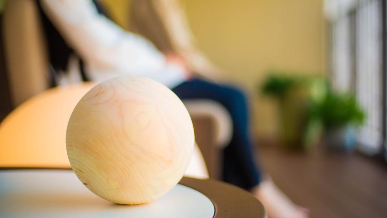 فندق جود ناتشر كيوتو المظهر الخارجي الصورة A ball used in the game of boule