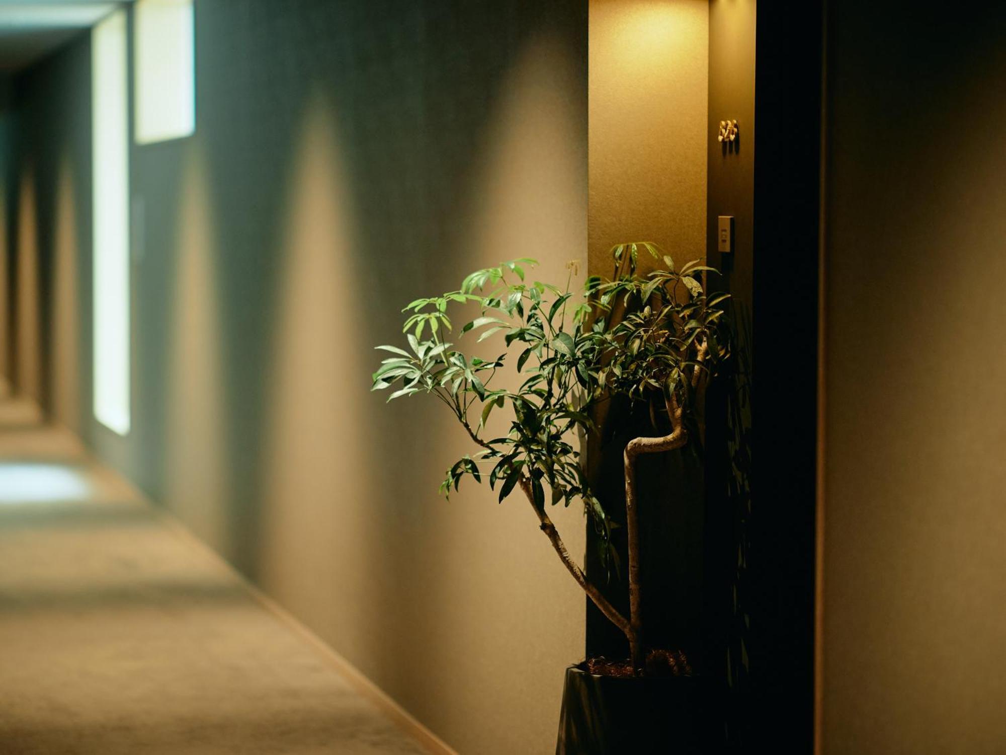 فندق جود ناتشر كيوتو الغرفة الصورة A corridor in a hotel