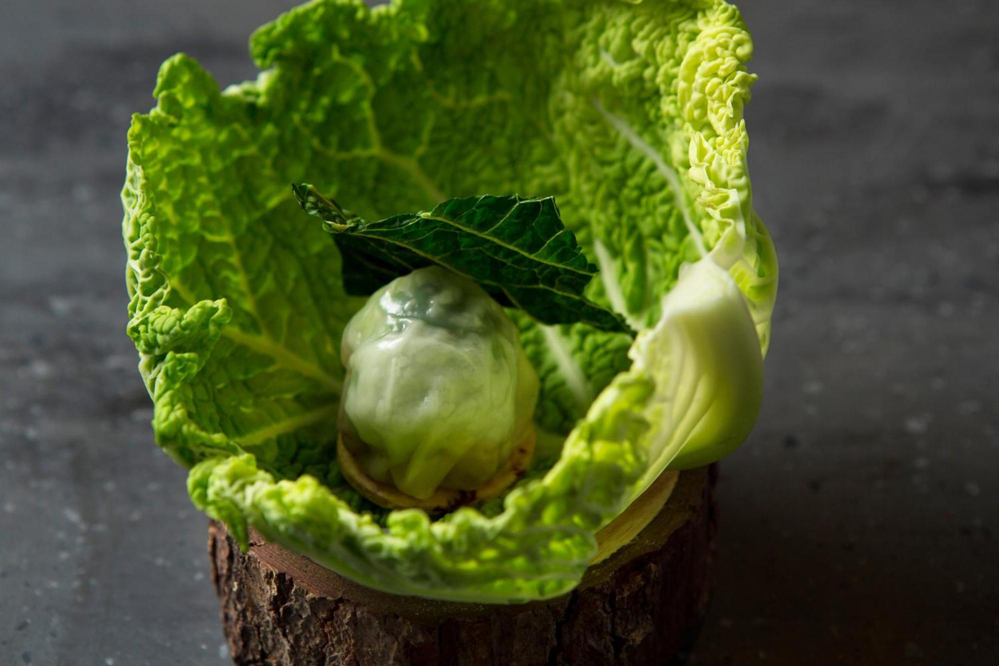 فندق جود ناتشر كيوتو المظهر الخارجي الصورة A cabbage leaf with a ball of ice